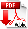 Formulieren - Adobe PDF