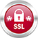 Regular Pro Wildcard SSL certificaat